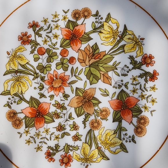 Set of (4) Corelle plates Indian Summer - Picture 7 of 10